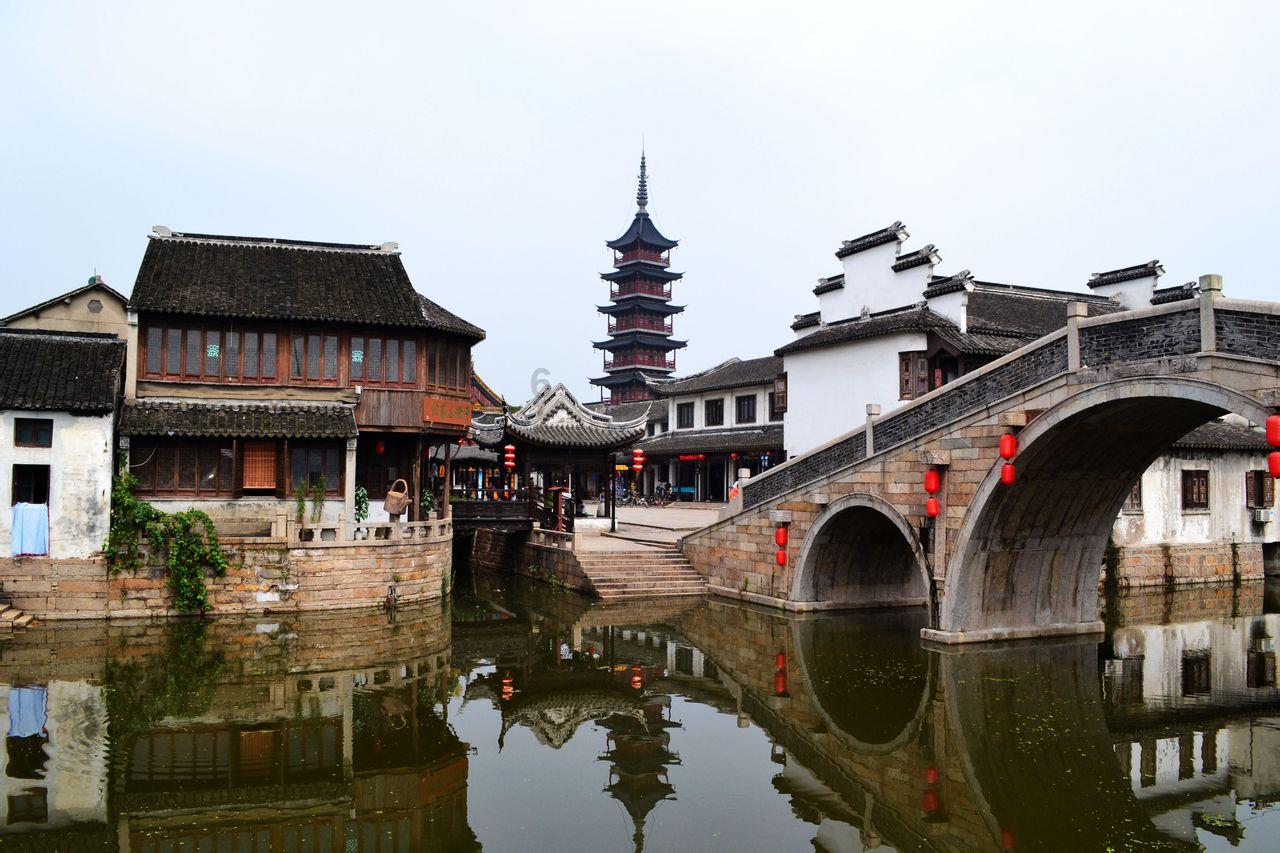 我想问一下八爪鱼怎么煮熟变得小了?-专业有问必答平台